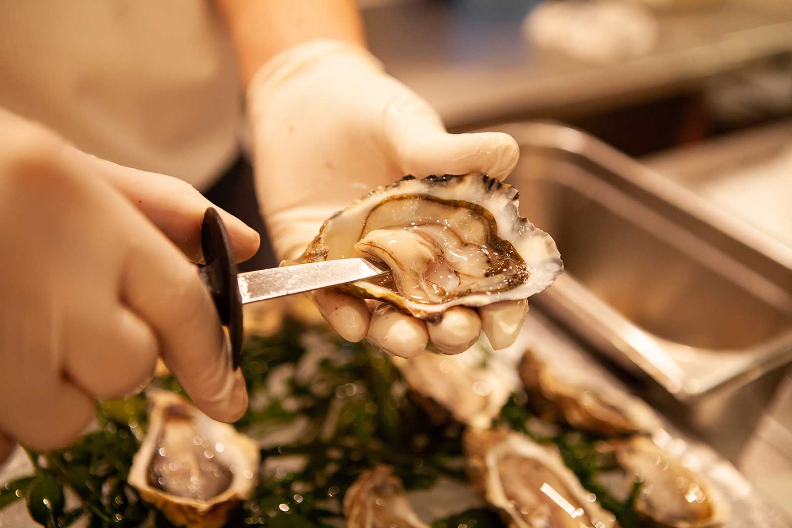 An oyster shell being shucked