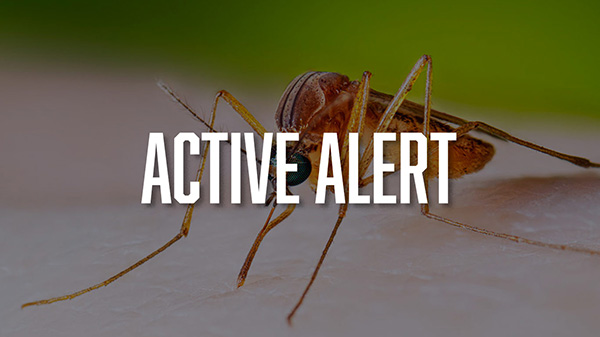Active alert for positive mosquito samples