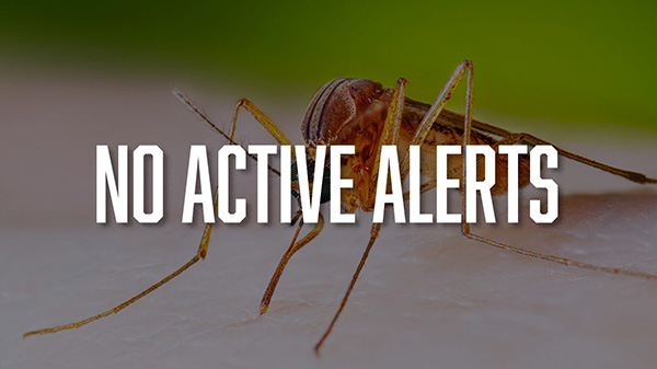 No current active alerts for positive mosquito samples