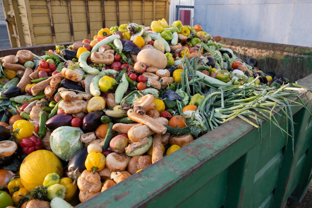 Discarded organic bio waste. Mix Vegetables and fruits in a huge container, in a rubbish bin. Heap of Compost from vegetables or food for animals.